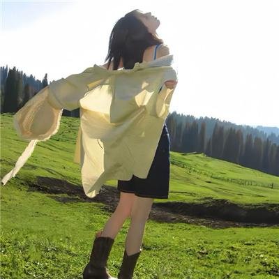 神犬小七第二季